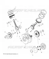 ENGINE, PISTON AND VILEBREQUIN